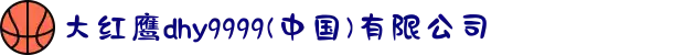 大红鹰dhy9999(中国)有限公司